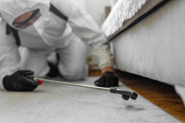 Professional Bed Bug Control technician working in Mission, OR